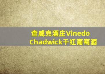 查威克酒庄Vinedo Chadwick干红葡萄酒